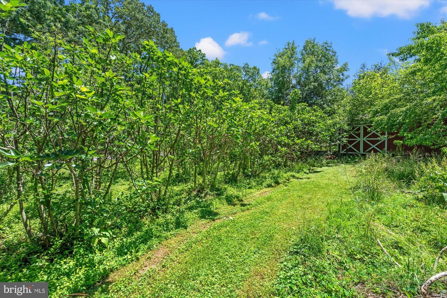 4730 Bicknell Road photo 68