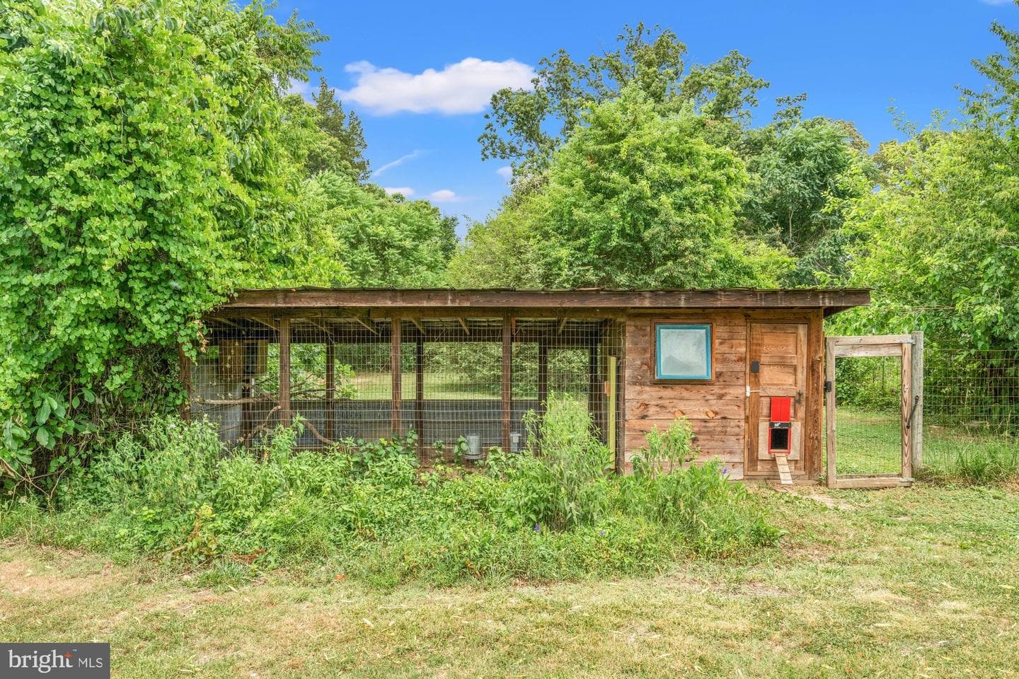 4730 Bicknell Road photo 70