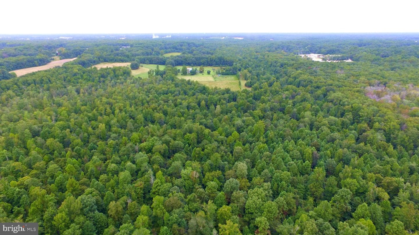 5745 Cues Favorite Place photo 5