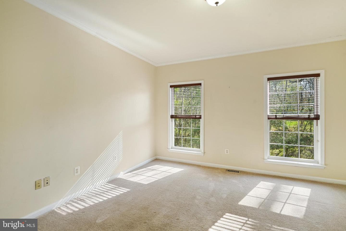 4900 Webfoot Court photo 16
