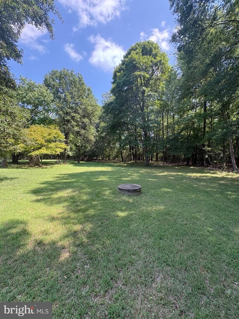 2655 Laurel Branch Drive photo 18