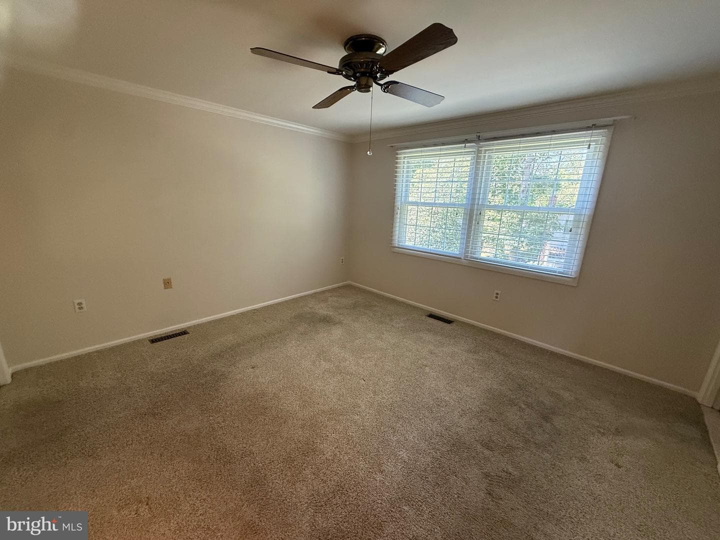 4007 Brewster Lane photo 12