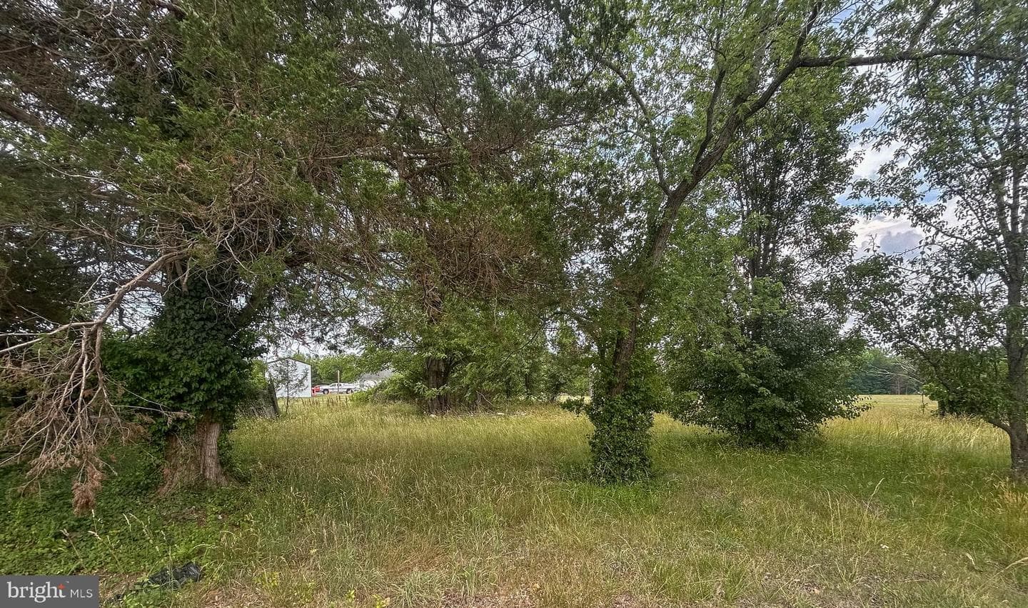 8400 Penns Hill Road photo 79