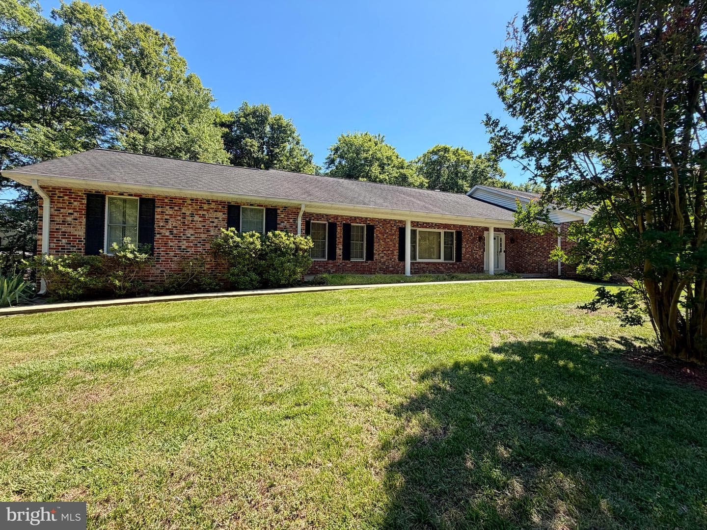 6499 Aura Drive photo 3