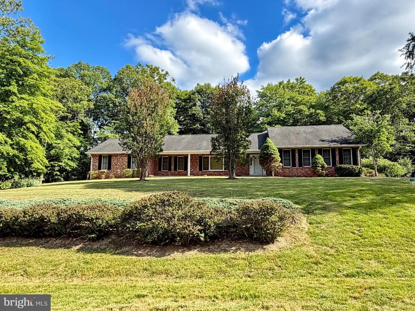 6499 Aura Drive photo 4