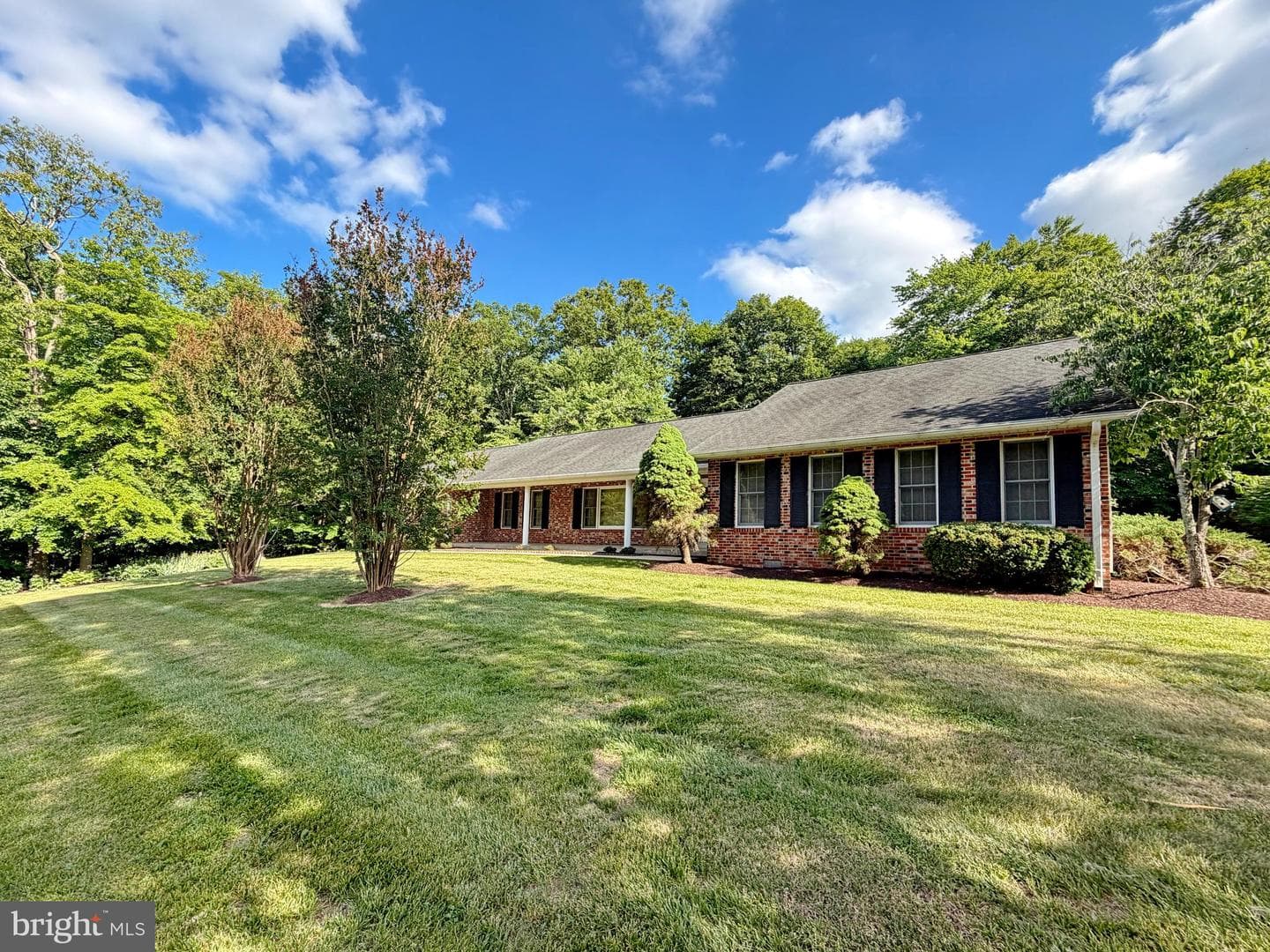 6499 Aura Drive photo 9