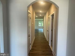 10083 Shenandoah Lane photo 3