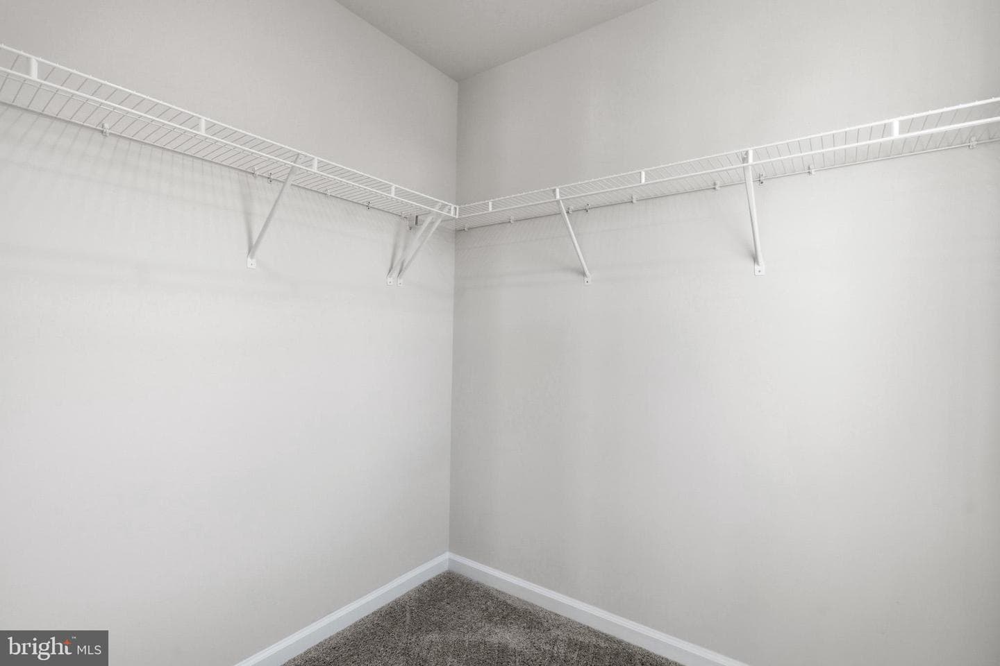 10022 Selkie Lane photo 45