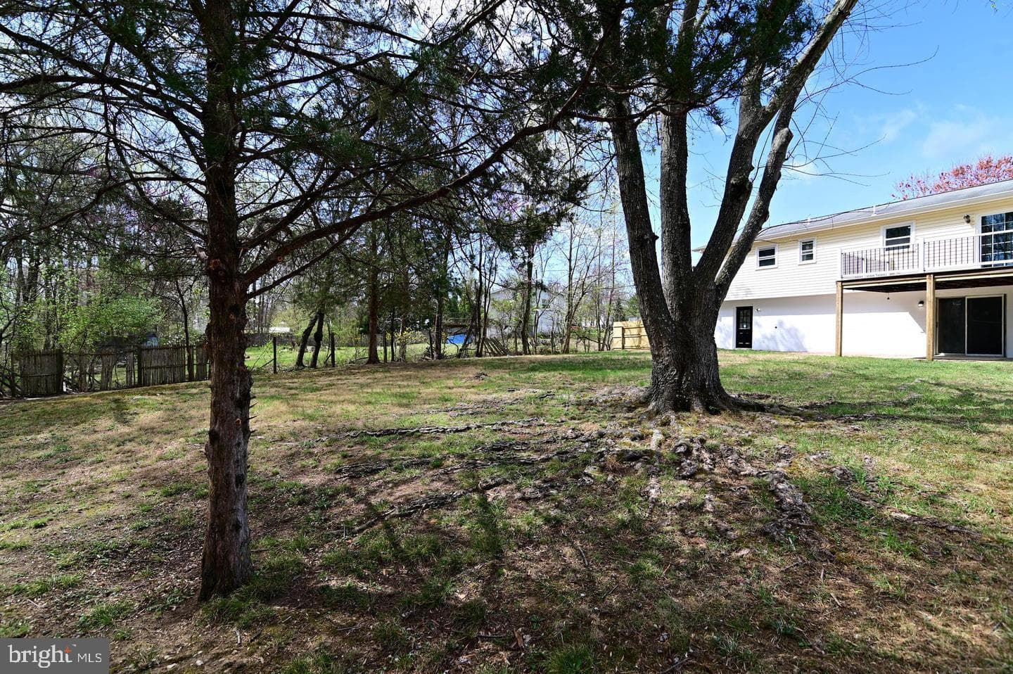 2124 Bell Tree Lane photo 63