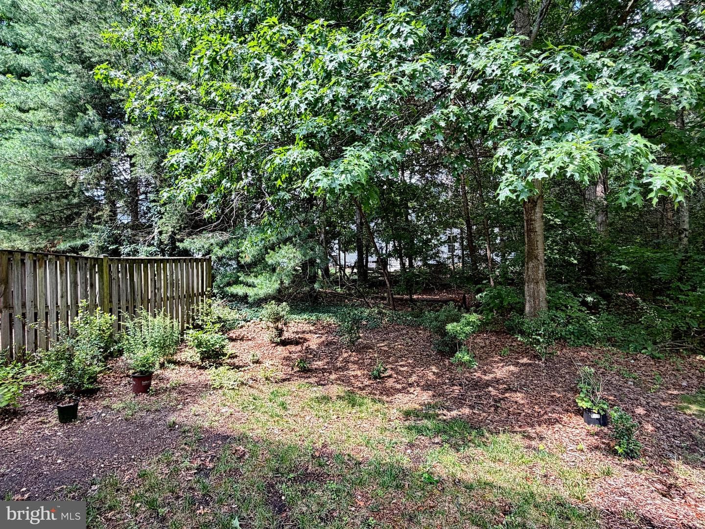 10186 Tree Frog Place photo 34