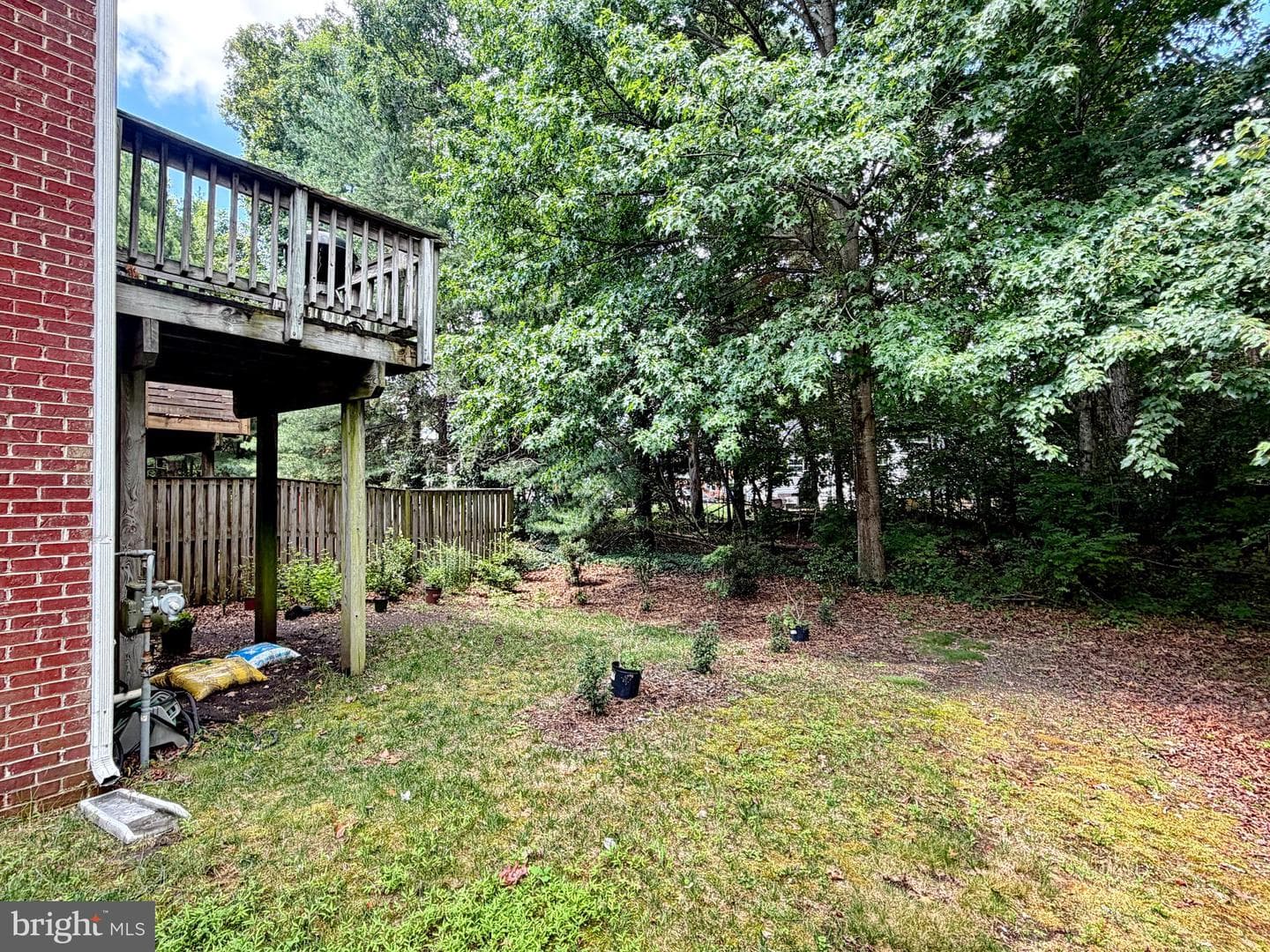 10186 Tree Frog Place photo 40