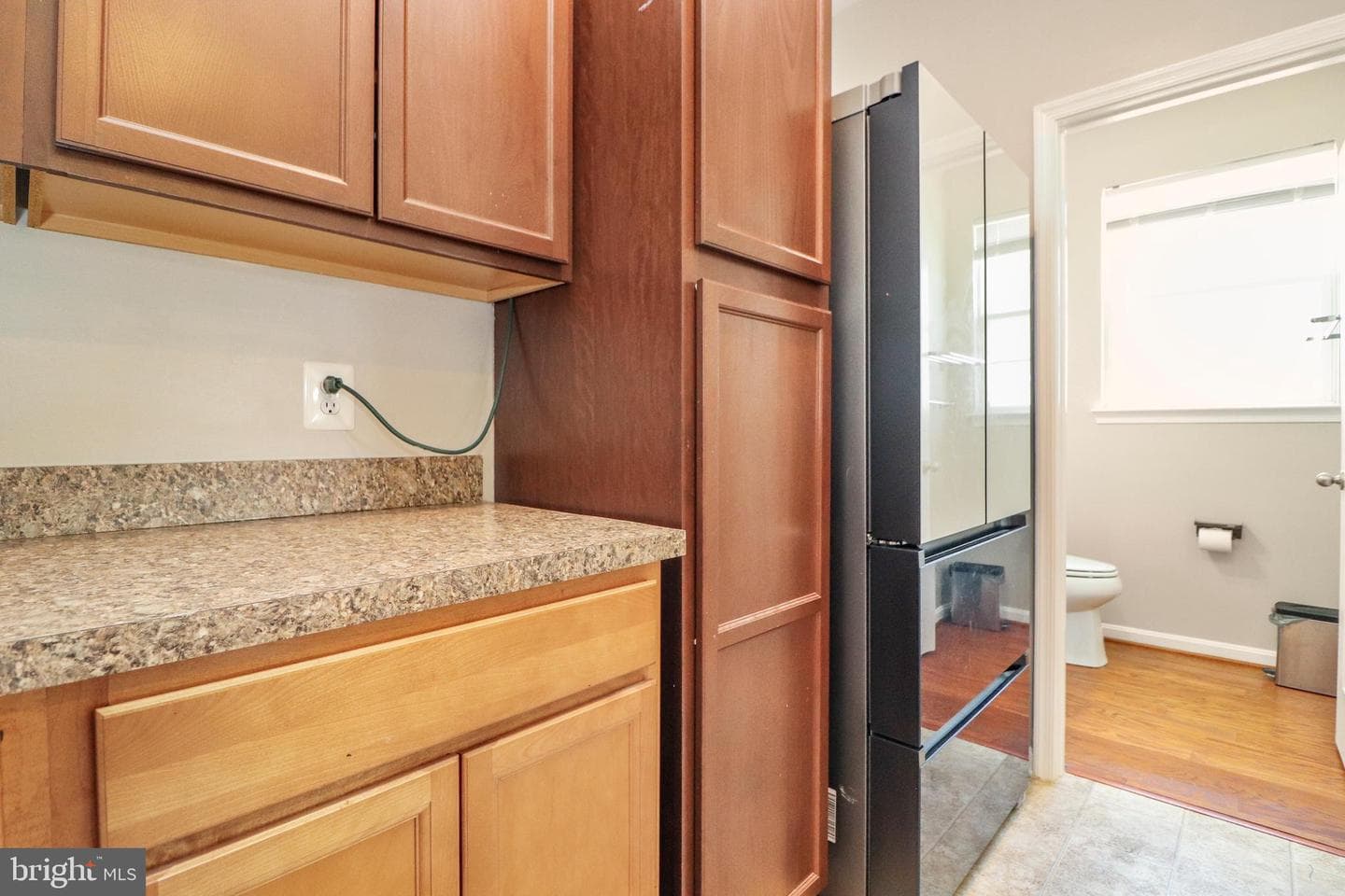 10568 Frasier Fir Lane photo 14