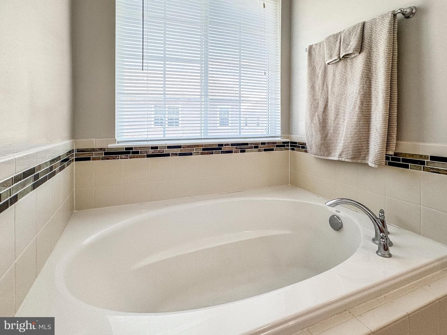10568 Frasier Fir Lane photo 22