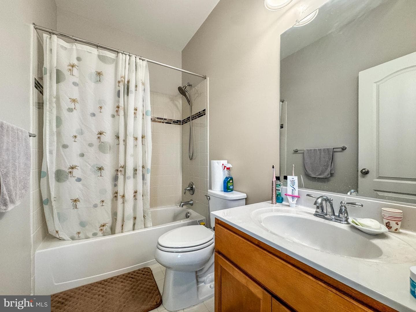 10568 Frasier Fir Lane photo 26