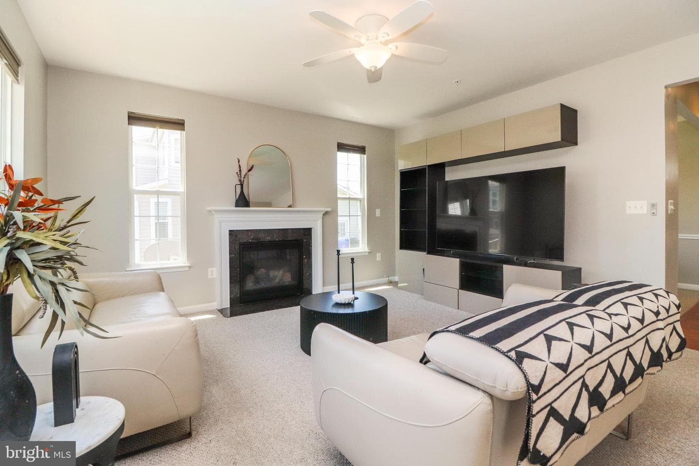 10568 Frasier Fir Lane photo 3