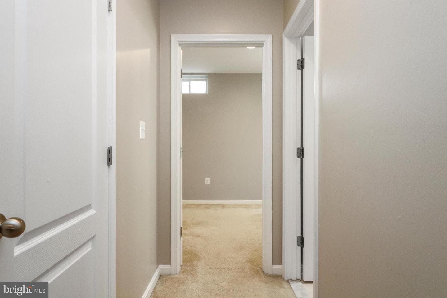 10568 Frasier Fir Lane photo 38