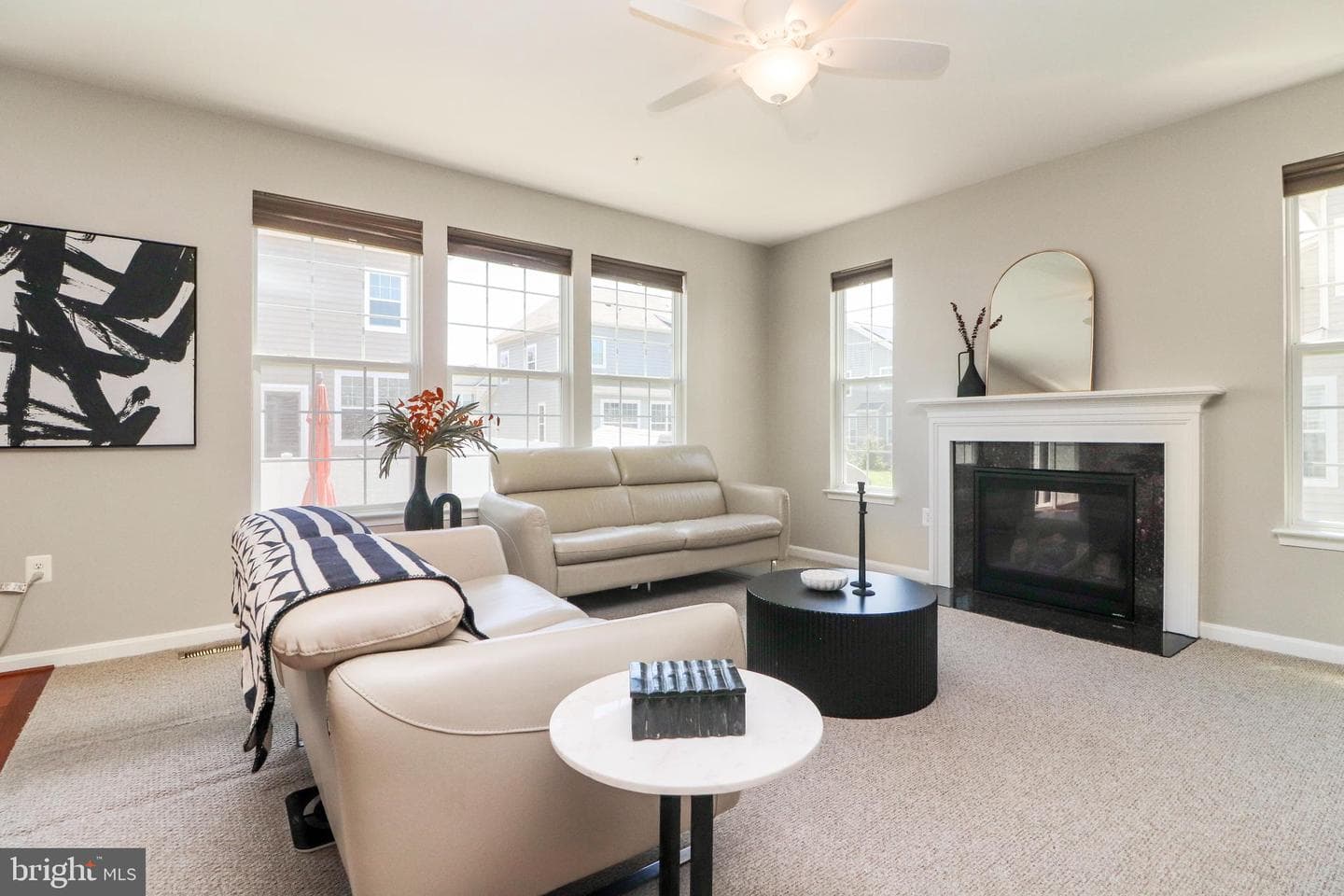10568 Frasier Fir Lane photo 4
