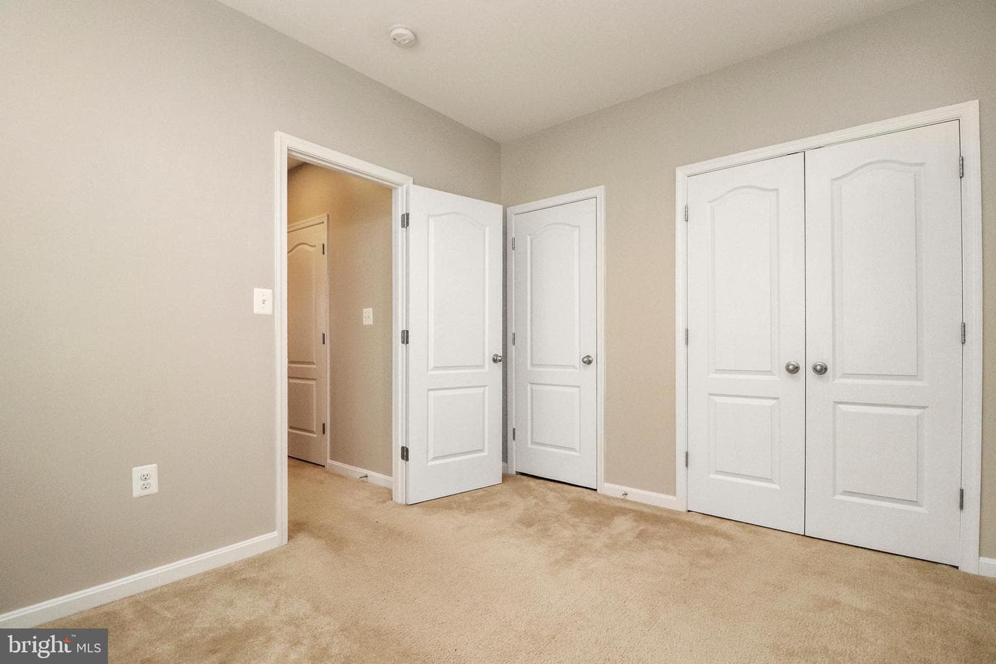 10568 Frasier Fir Lane photo 40