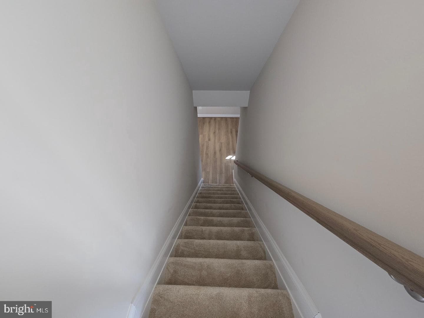 3116 Alfalfa Circle photo 38