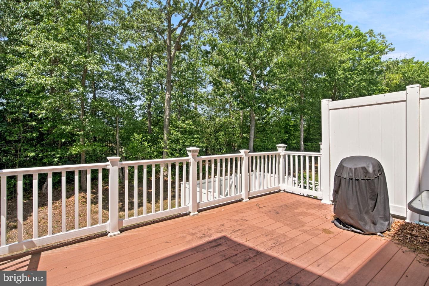 11747 Sunningdale Place photo 4