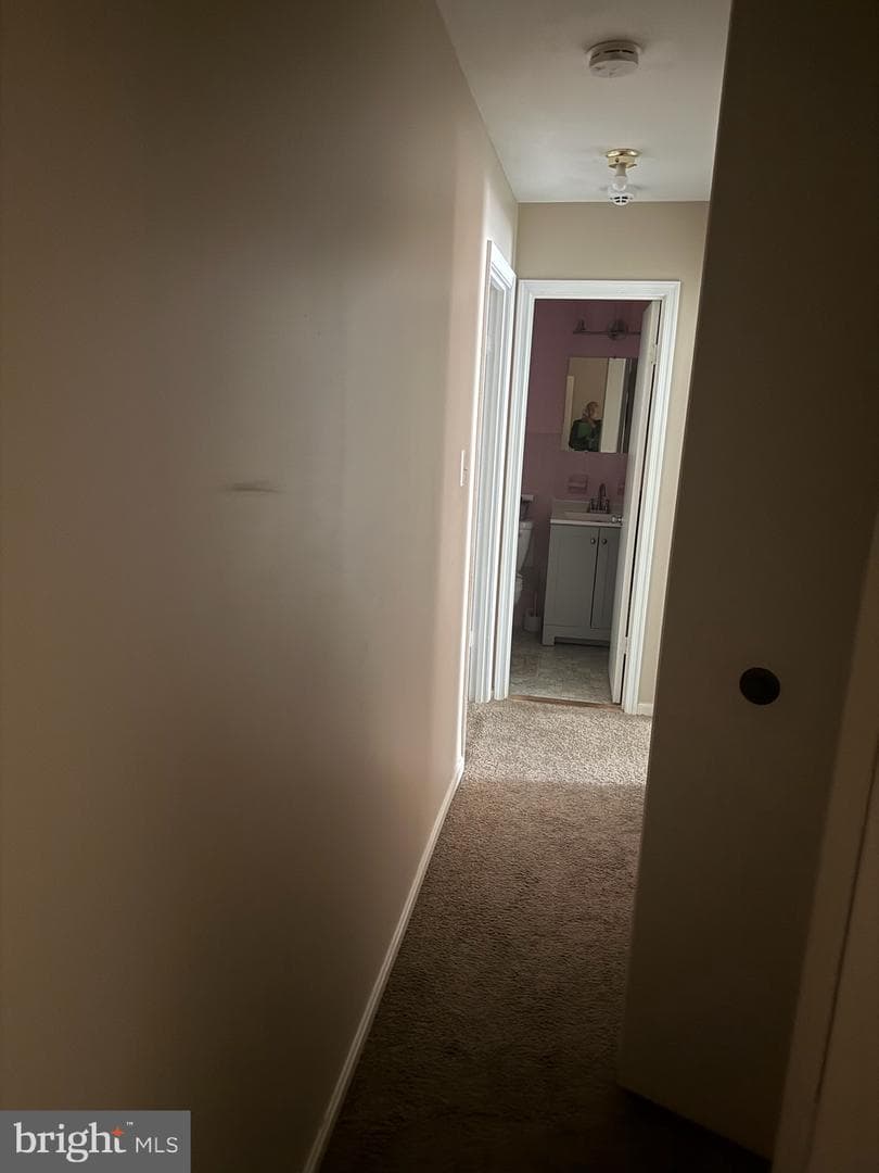 3289 Ryon Court photo 38