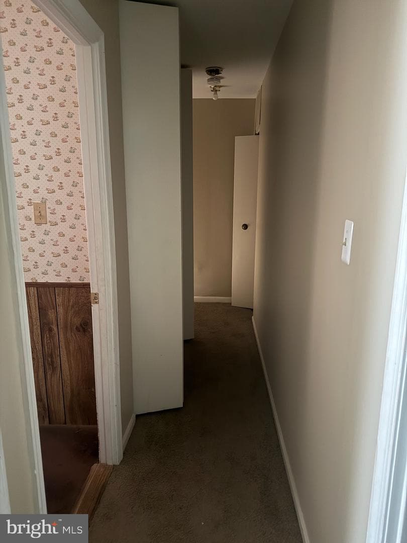 3289 Ryon Court photo 39