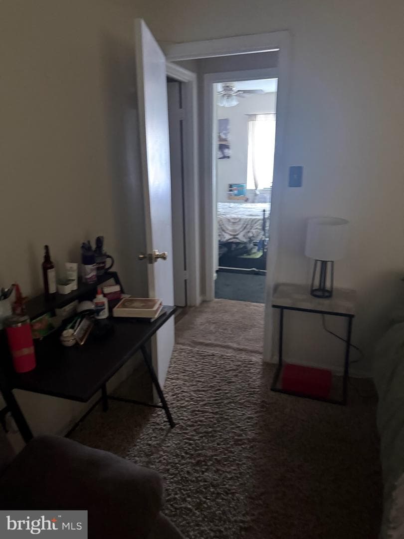 3289 Ryon Court photo 6