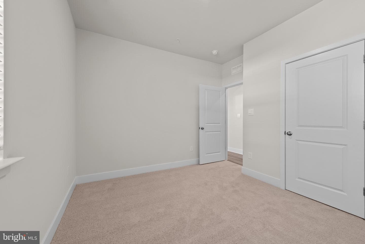 509 Twisted Twig Lane photo 15