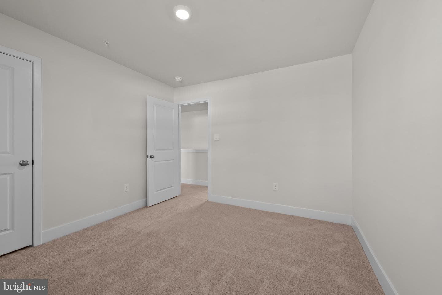 509 Twisted Twig Lane photo 18