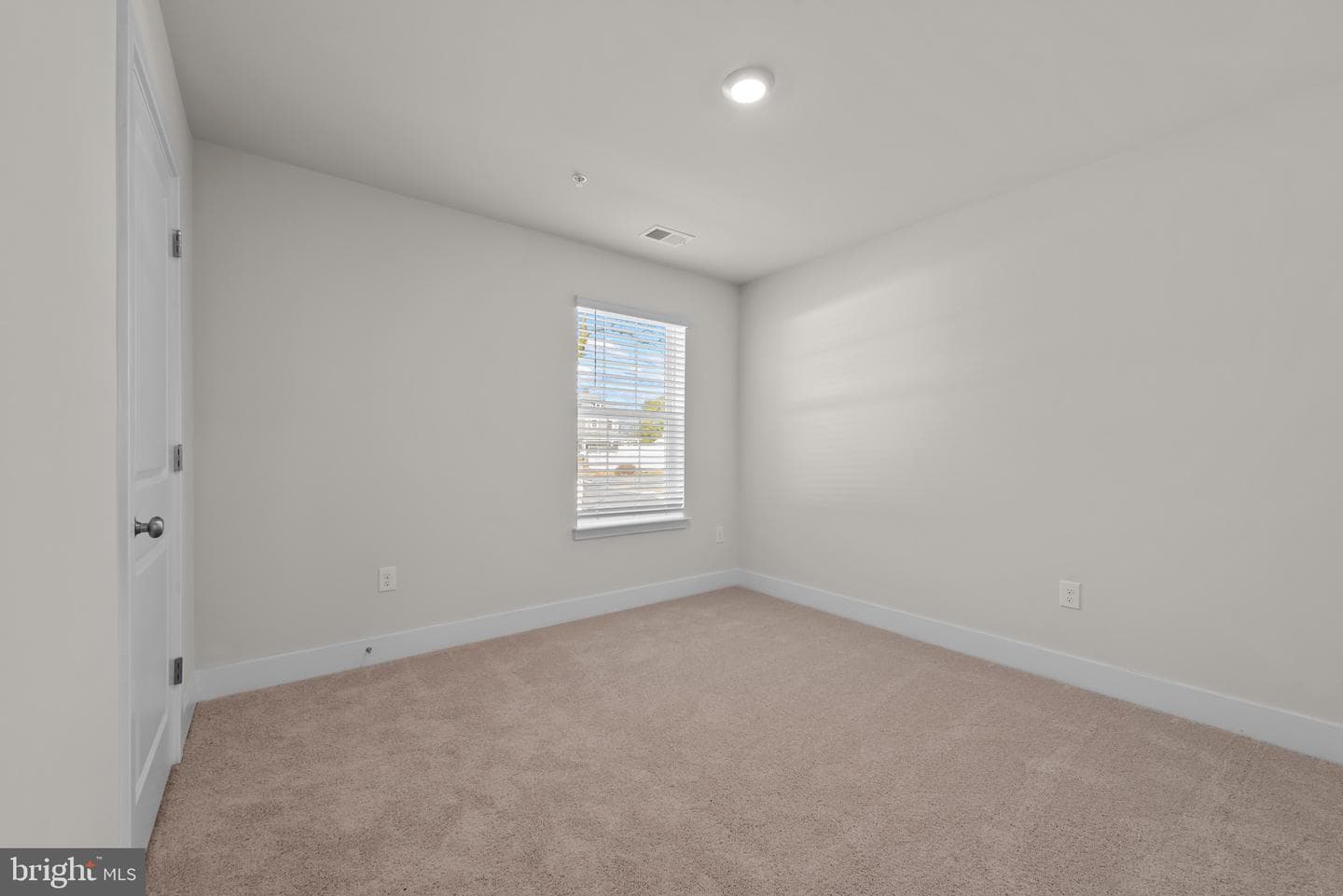 509 Twisted Twig Lane photo 21