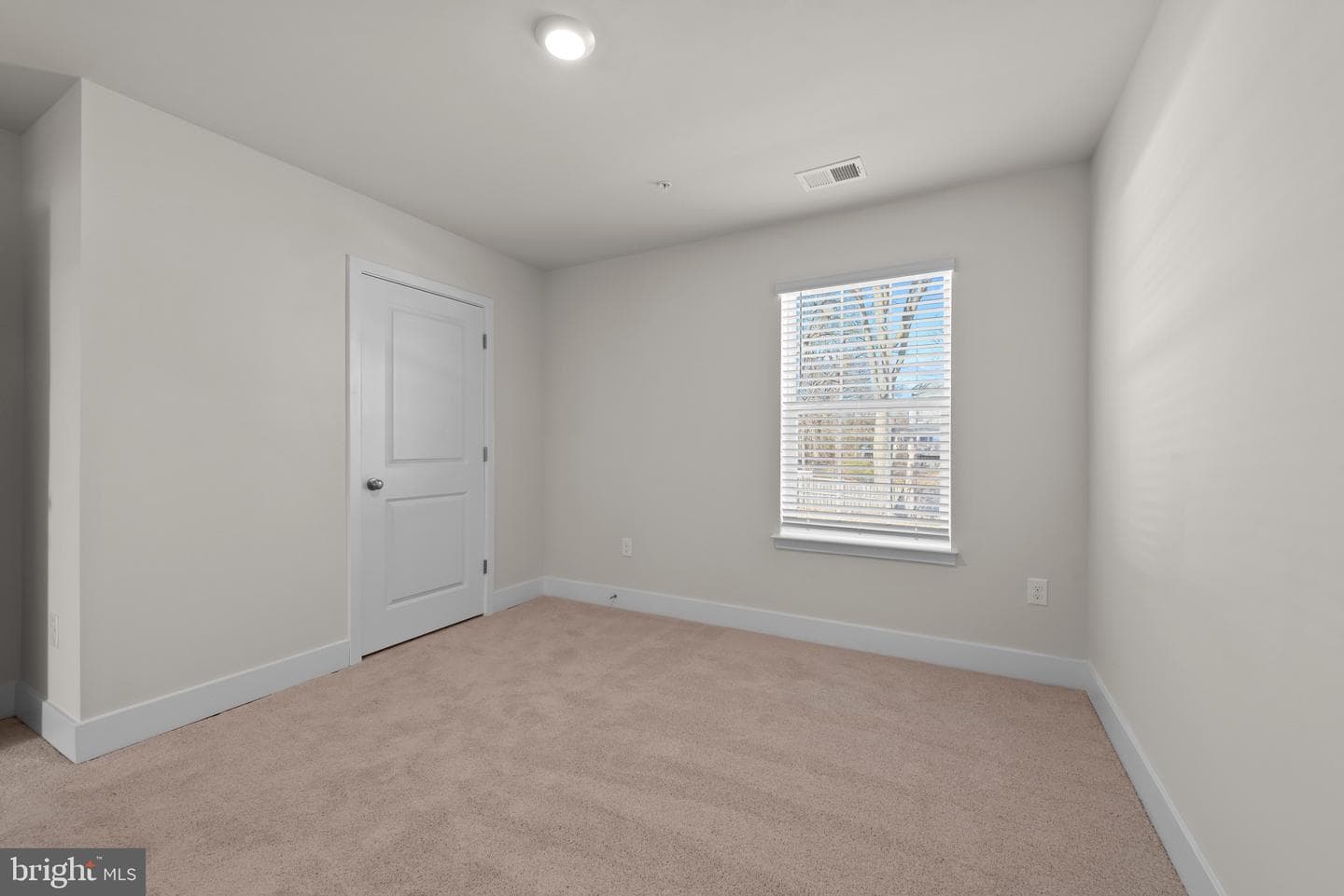 509 Twisted Twig Lane photo 22