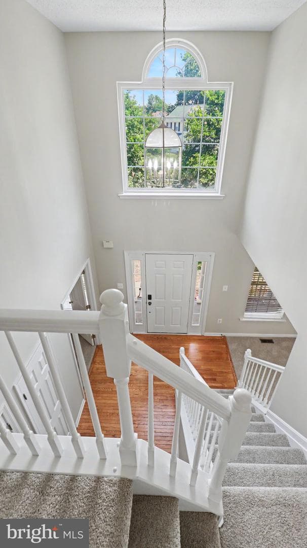 101 Powhatan Court photo 52