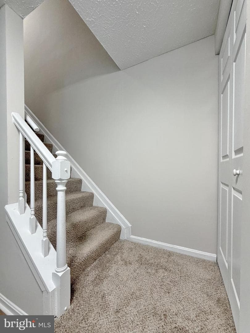 16 Chinaberry Lane photo 21