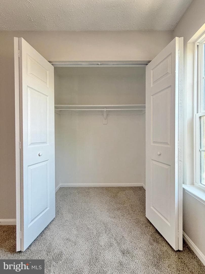 16 Chinaberry Lane photo 28