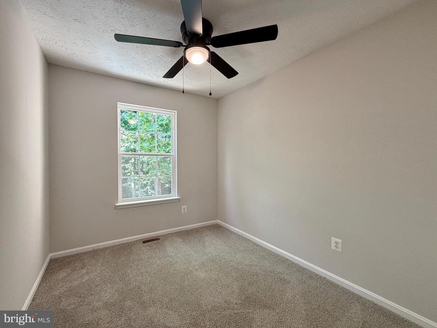 16 Chinaberry Lane photo 31