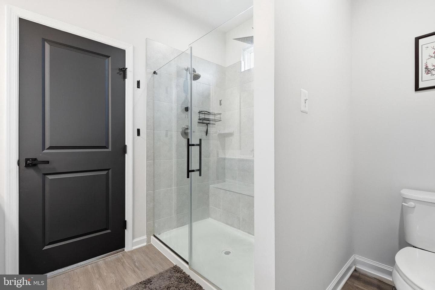 10980 Oswestry Street photo 22