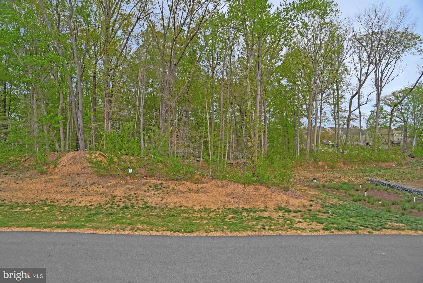 2764 Bridgewater Drive photo 43