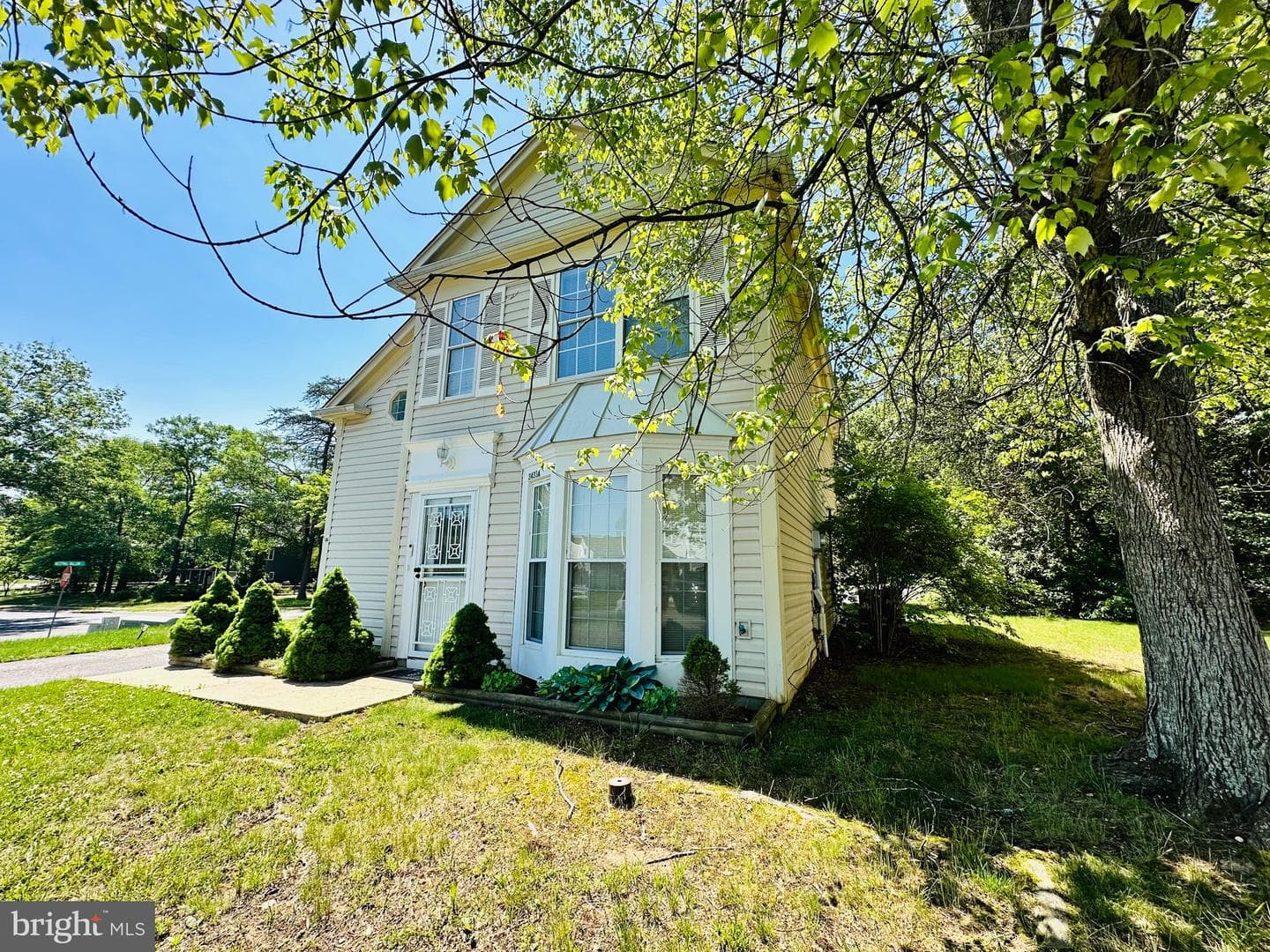 3433 Azalea Place photo 6
