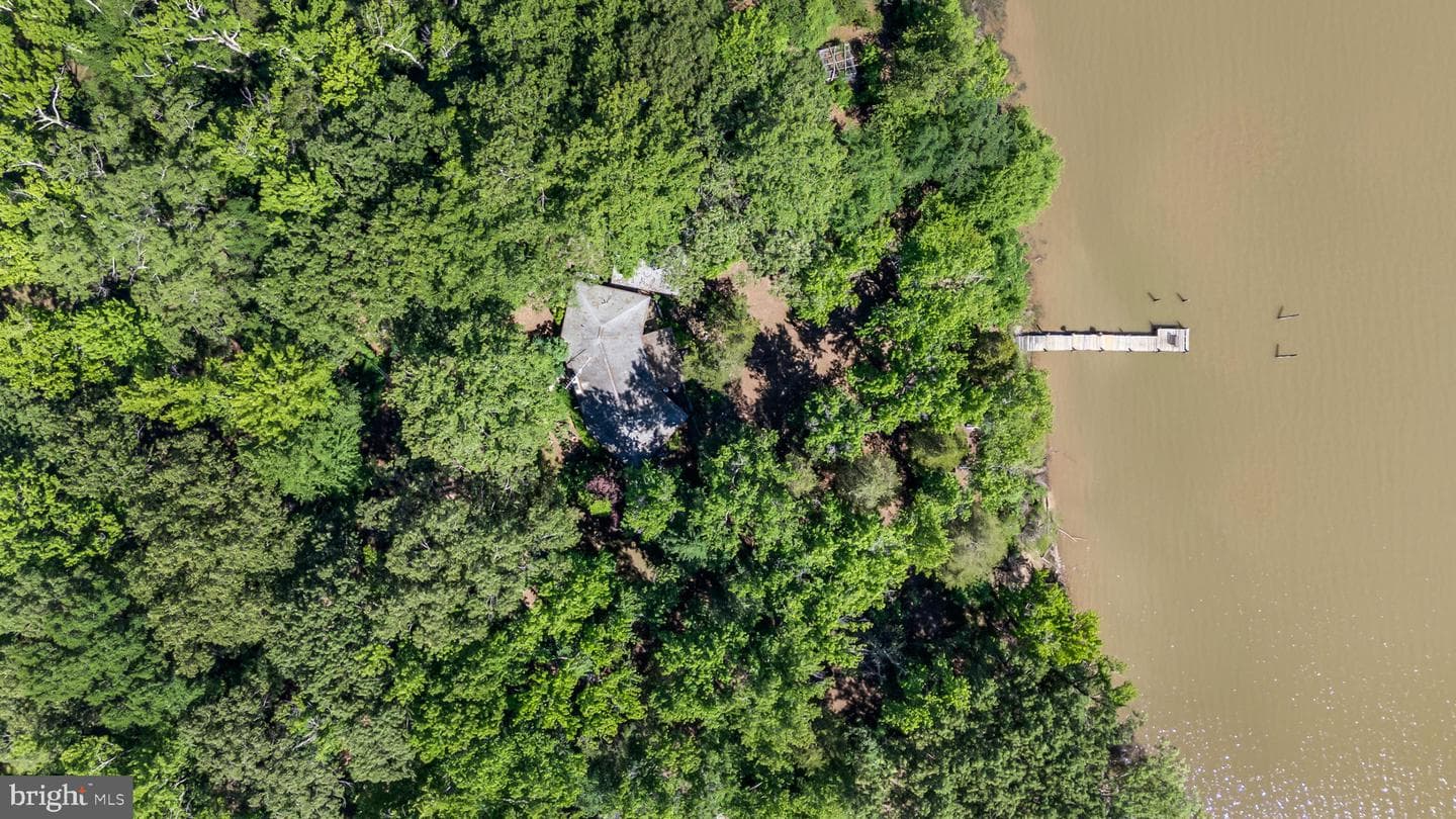 9545 Moores Point Place photo 37