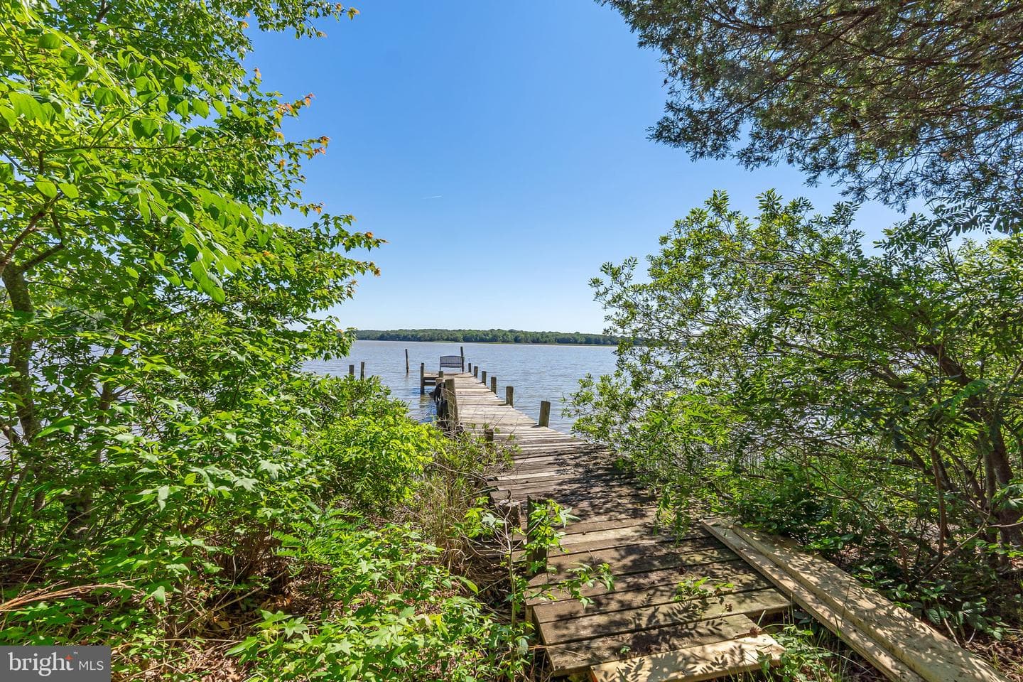 9545 Moores Point Place photo 4