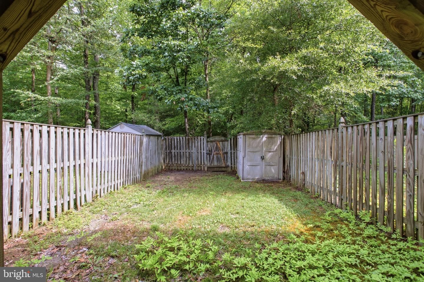 8012 Bullfinch Place photo 36