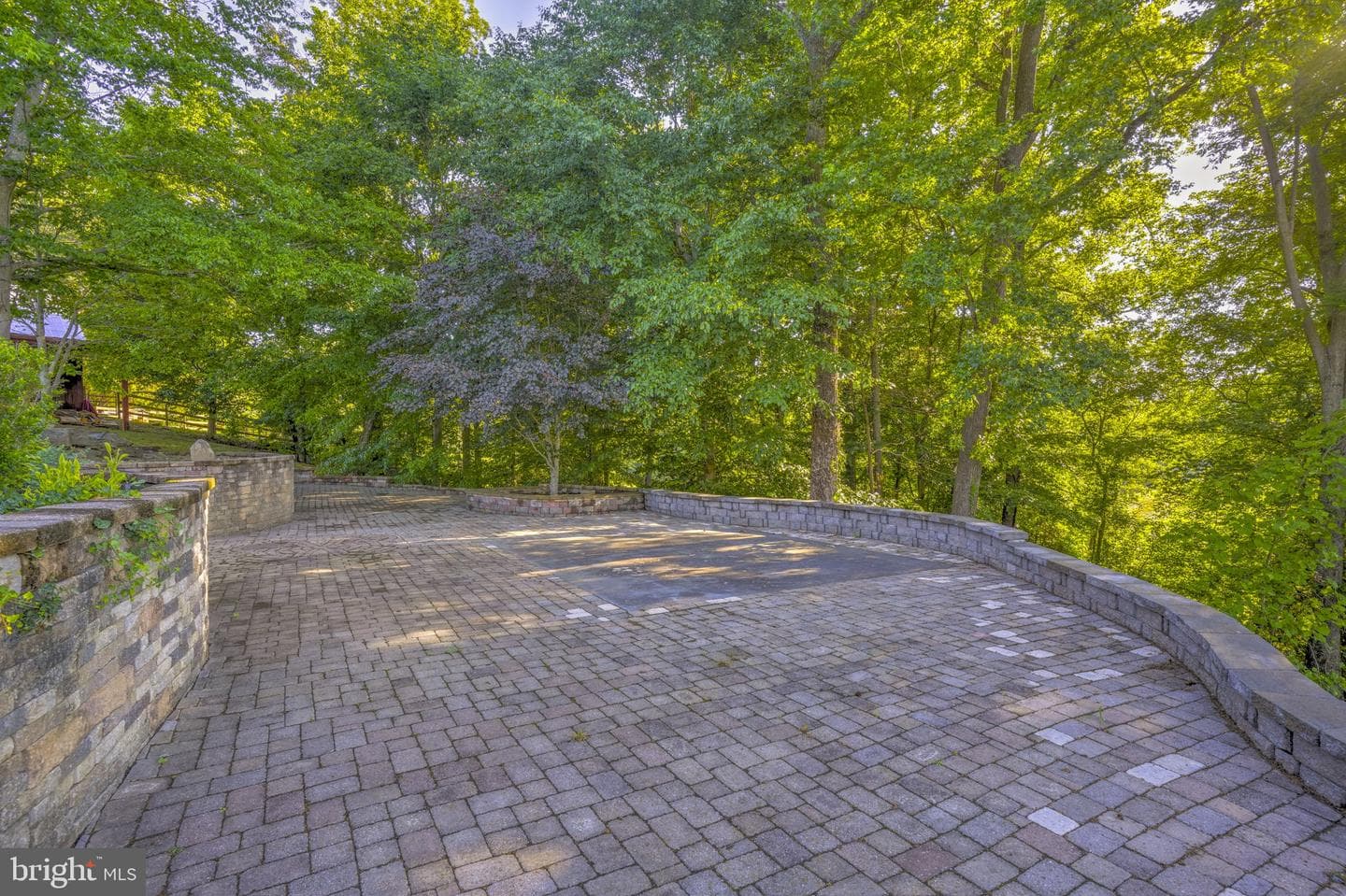 11746 Lucknow Lane photo 46