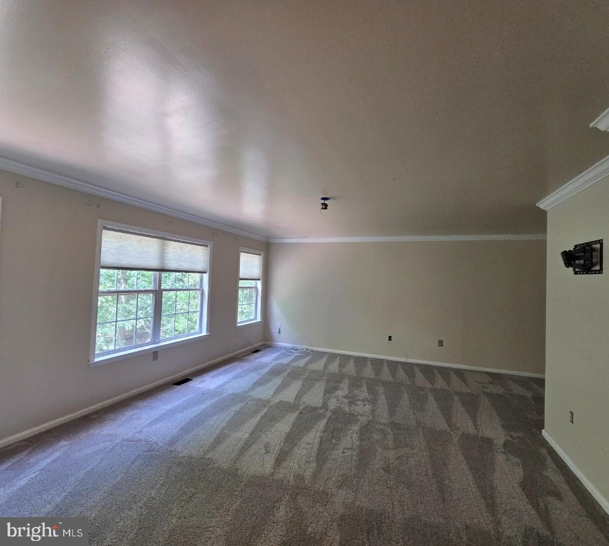 8264 Cheswolde Court photo 18