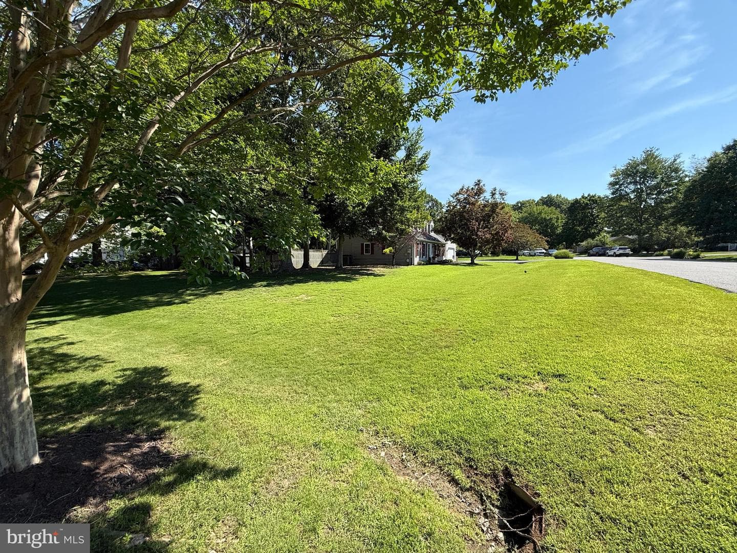 207 Persimmon Court photo 66