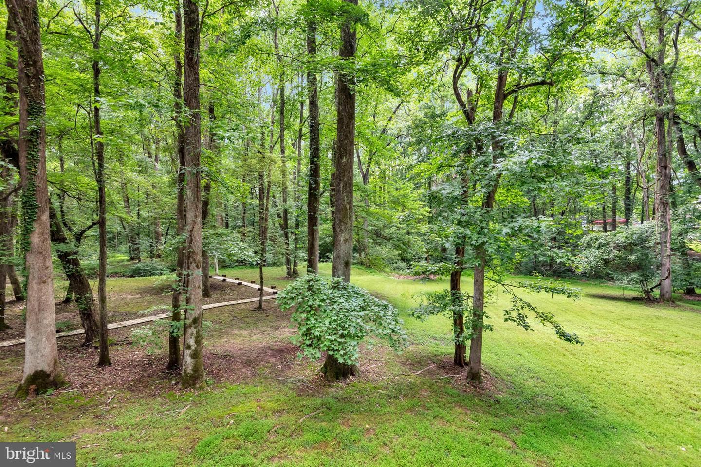 4350 Lady Trisha Court photo 49