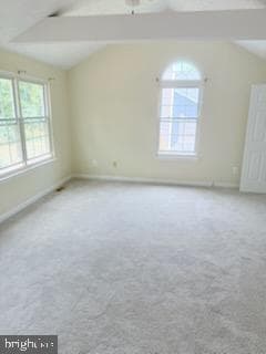 6006 Black Bear Court photo 6