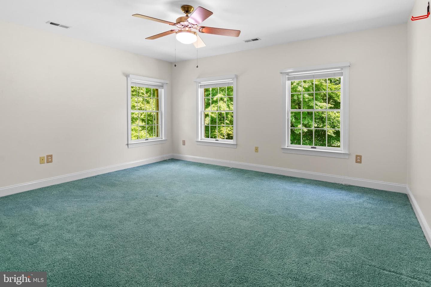 13745 Edelen Drive photo 68