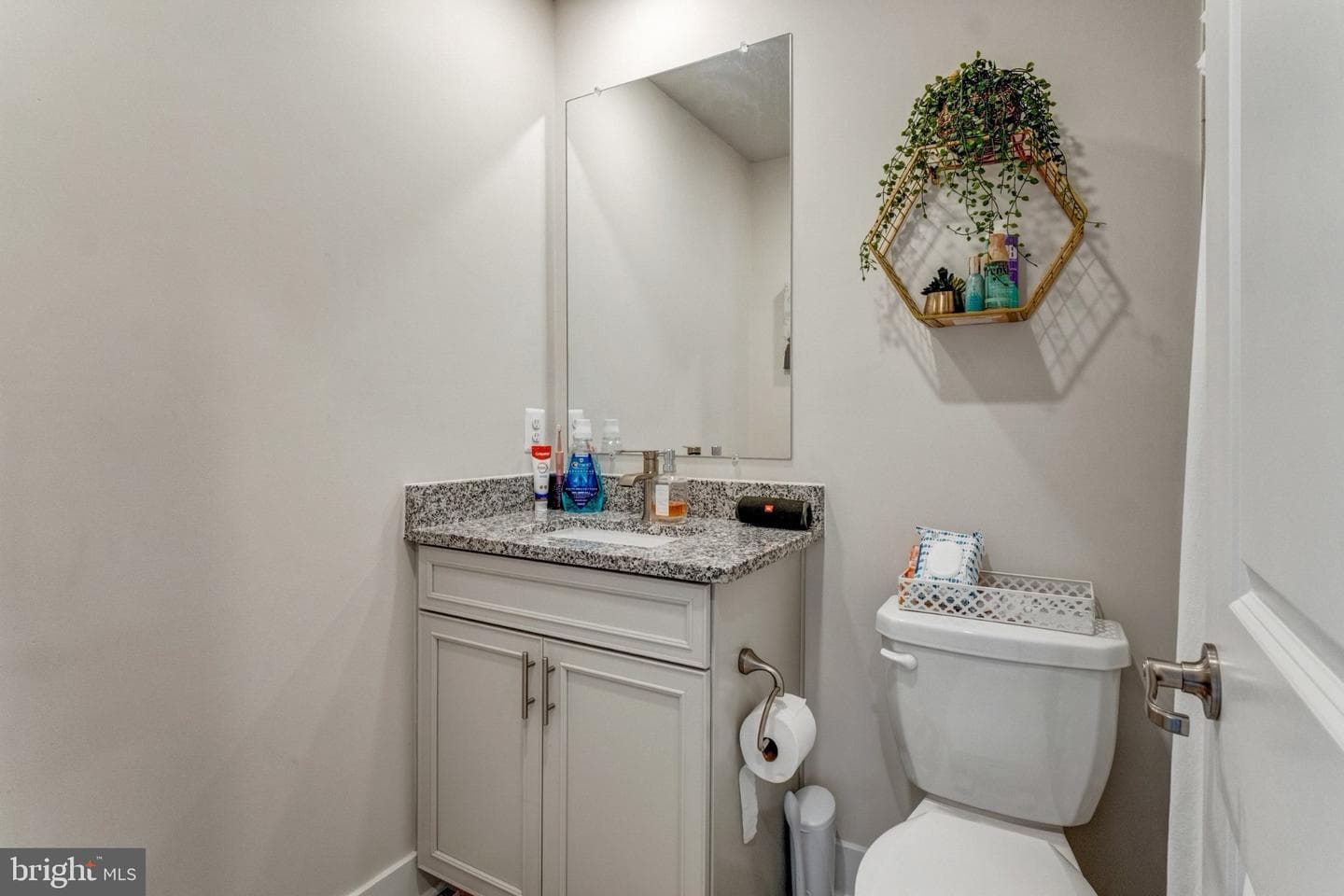 11716 Emily Dickinson Place photo 38