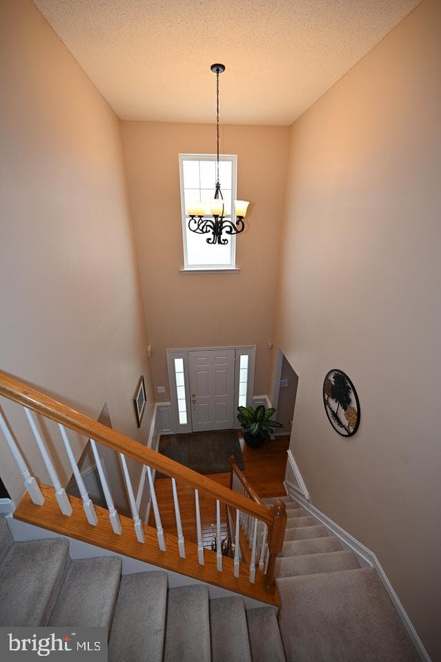 116 Mcphee Lane photo 72