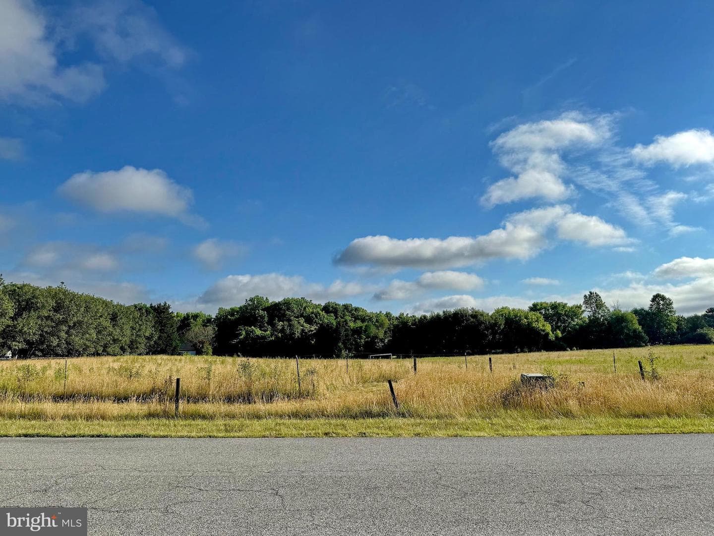 8530 Wedding Drive photo 11